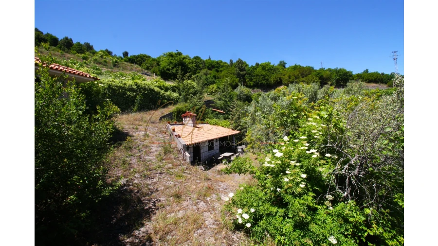 Moradia T5 para Venda em Lamego (Almacave e Sé) Foto 26