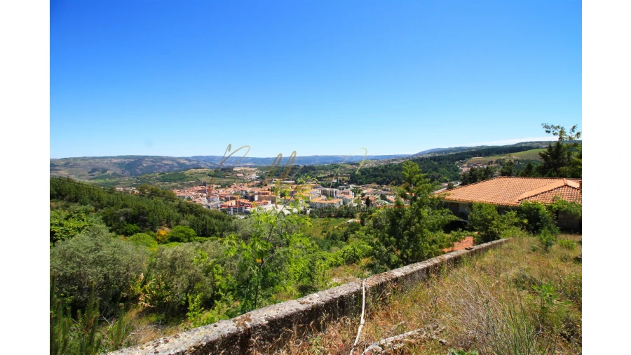 Moradia T5 para Venda em Lamego (Almacave e Sé) Foto 14