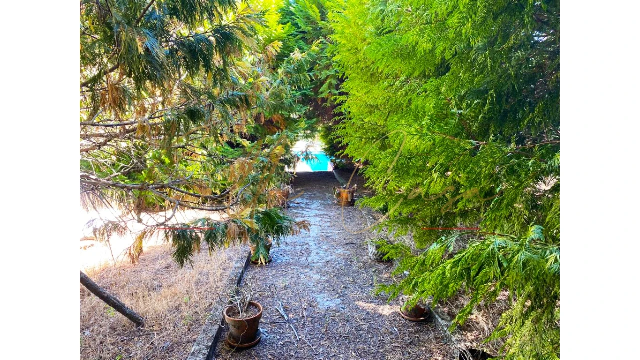 Moradia T5 para Venda em Lamego (Almacave e Sé) Foto 36