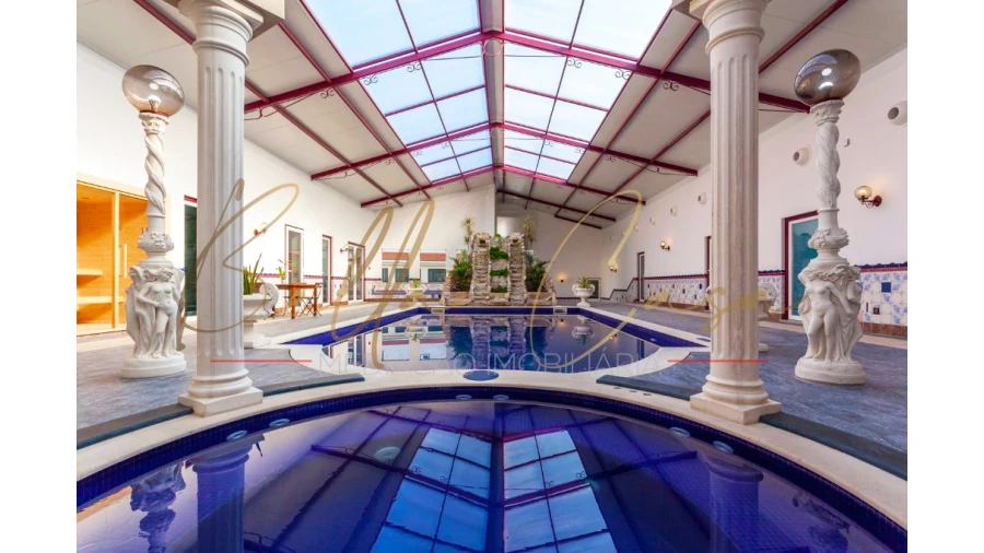 Negócio para Venda em Ervedal e Vila Franca da Beira Foto 1