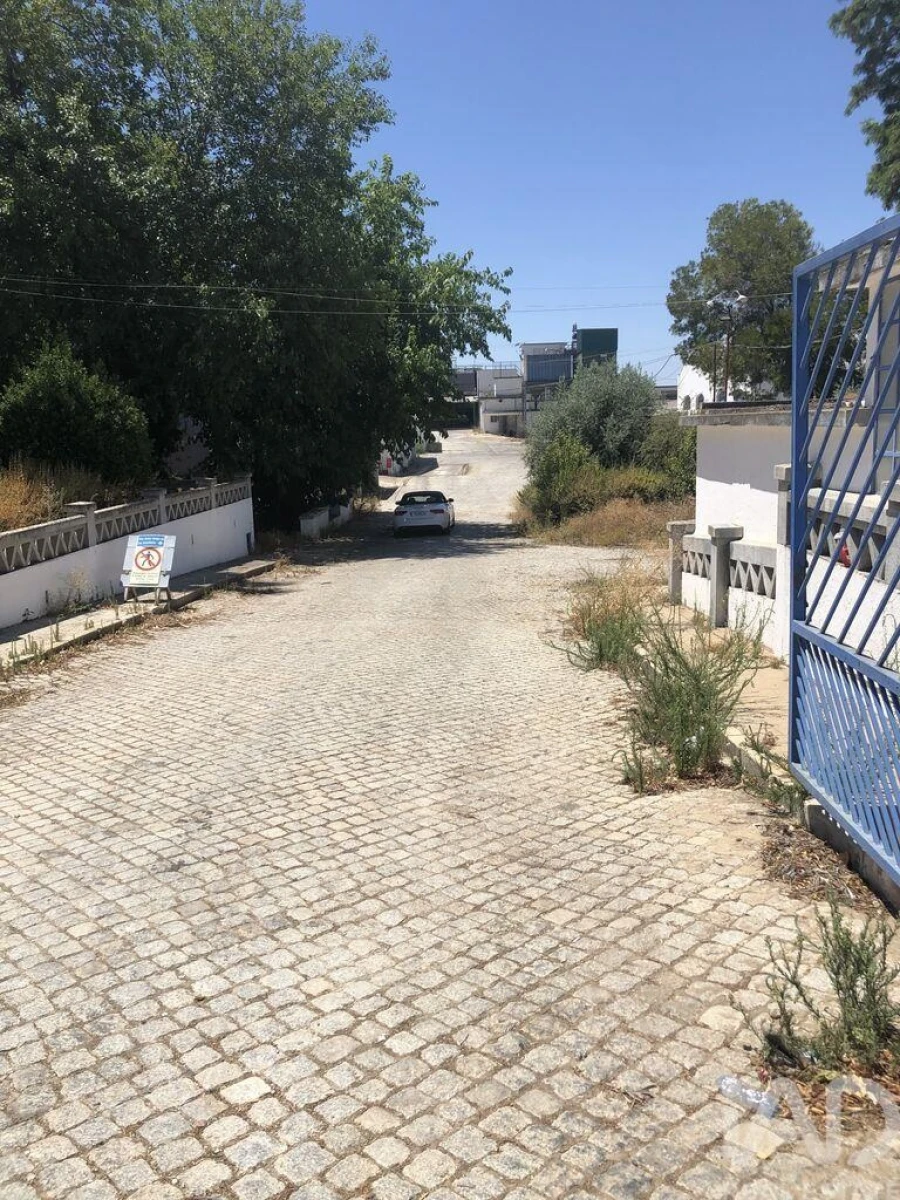 Terreno para Venda em Safara e Santo Aleixo da Restauração Foto 21