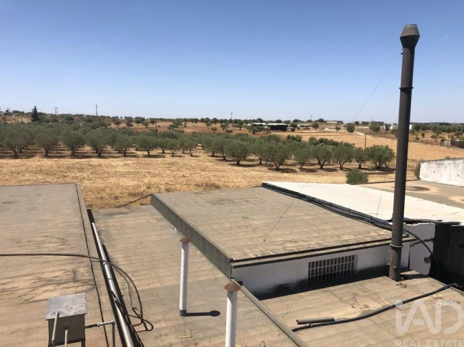 Terreno para Venda em Safara e Santo Aleixo da Restauração Foto 15
