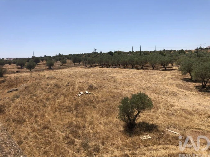 Terreno para Venda em Safara e Santo Aleixo da Restauração Foto 16