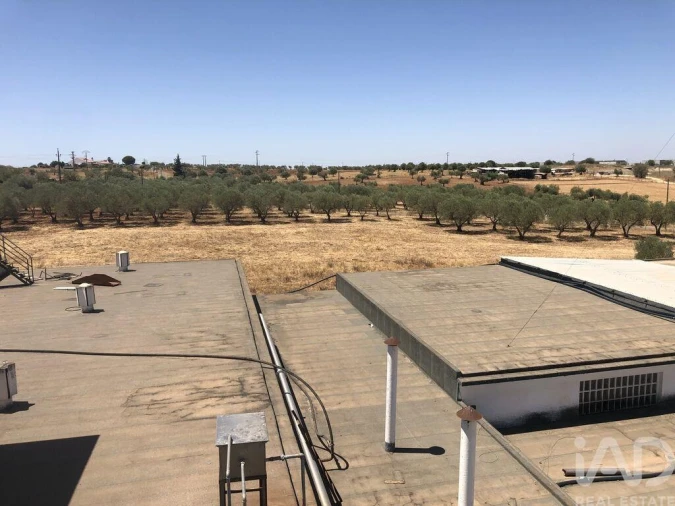 Terreno para Venda em Safara e Santo Aleixo da Restauração Foto 13
