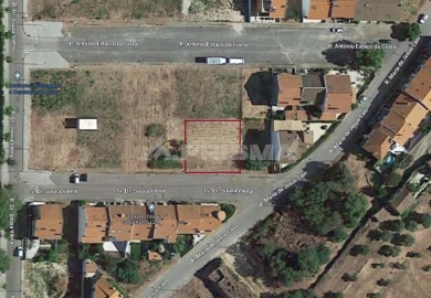 Terreno para Venda em Castelo Branco