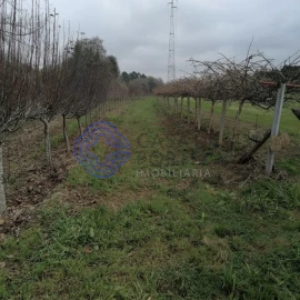 Terreno para Venda em Ermesinde