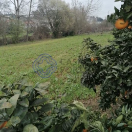 Terreno para Venda em Ermesinde