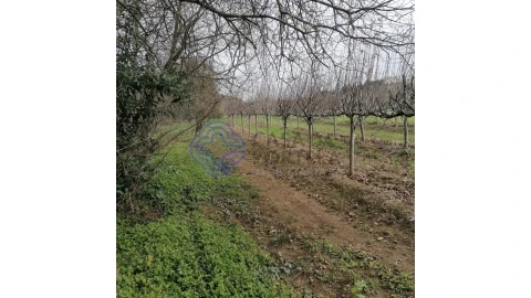 Terreno para Venda em Ermesinde