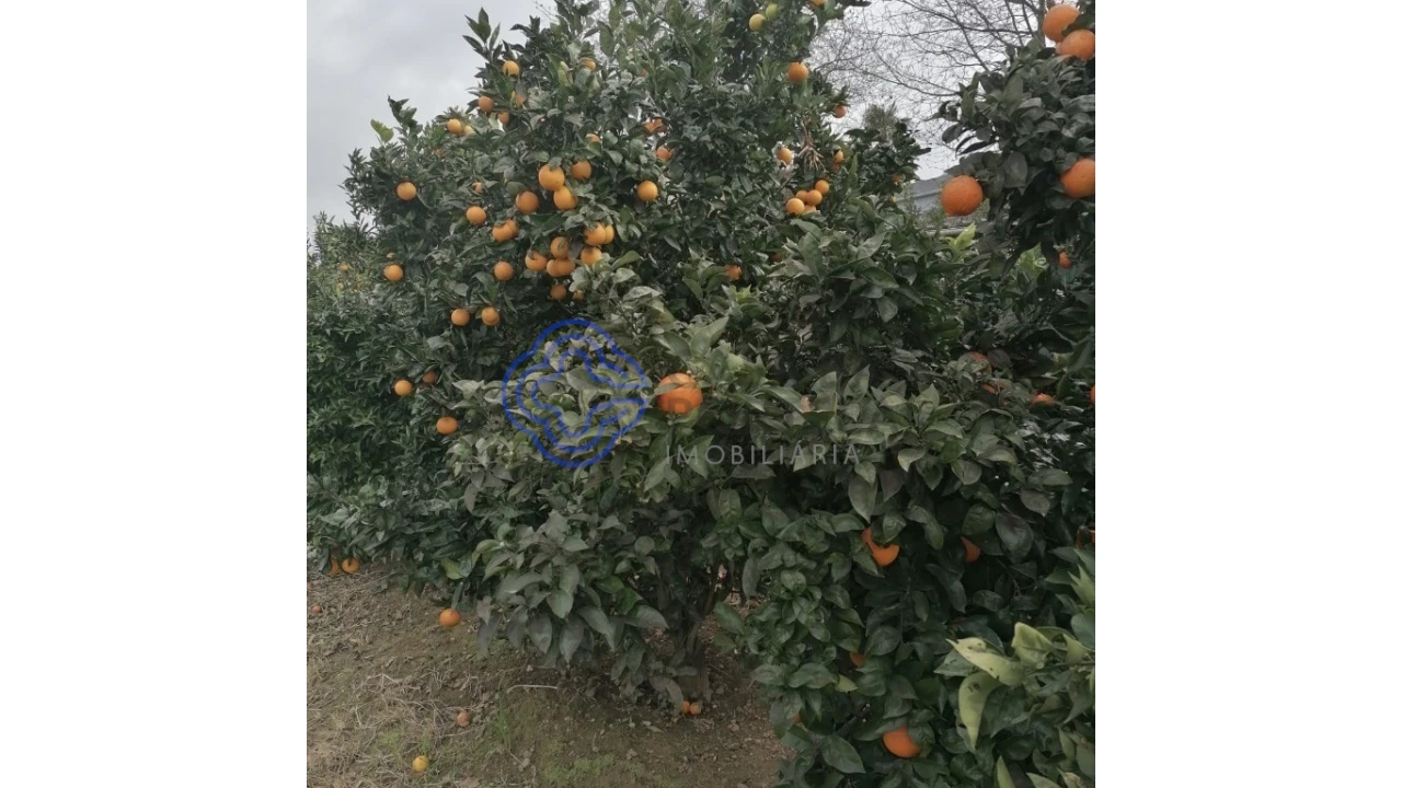 Terreno para Venda em Ermesinde Foto 1