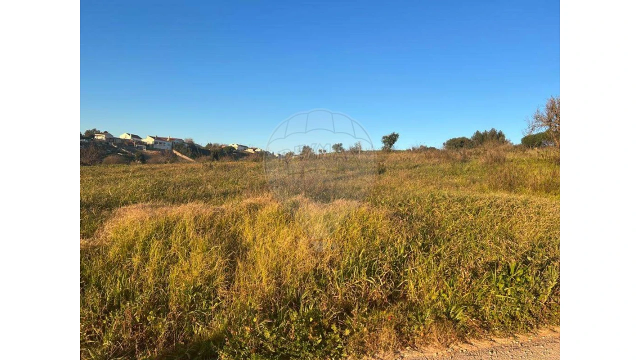 Terreno para Venda em Olhalvo Foto 2