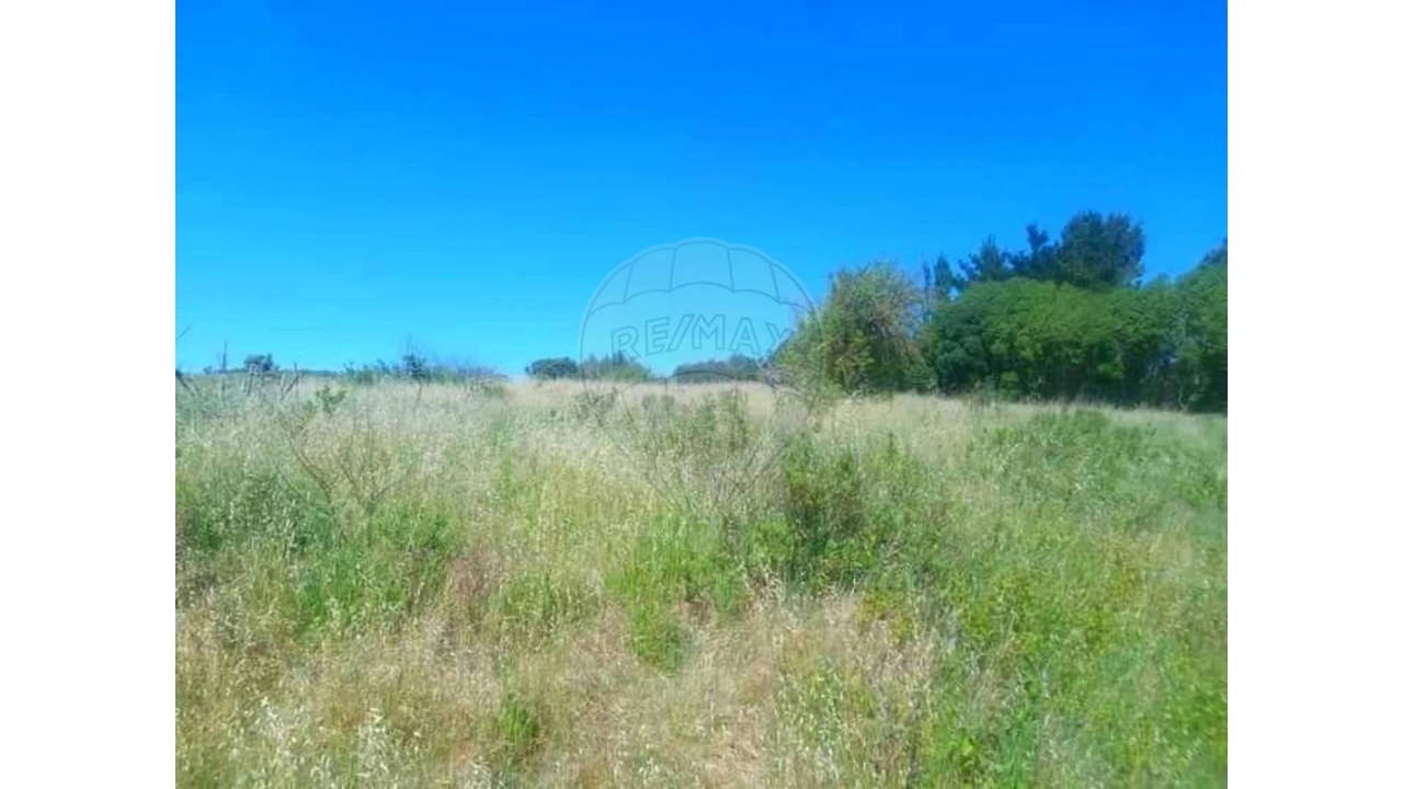 Terreno para Venda em Olhalvo Foto 6