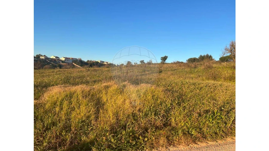 Terreno para Venda em Olhalvo Foto 2