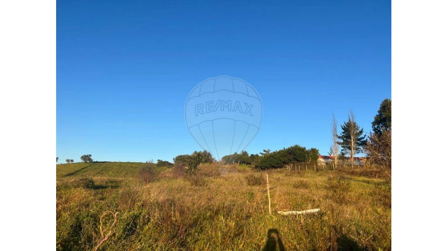 Terreno para Venda em Olhalvo Foto 3