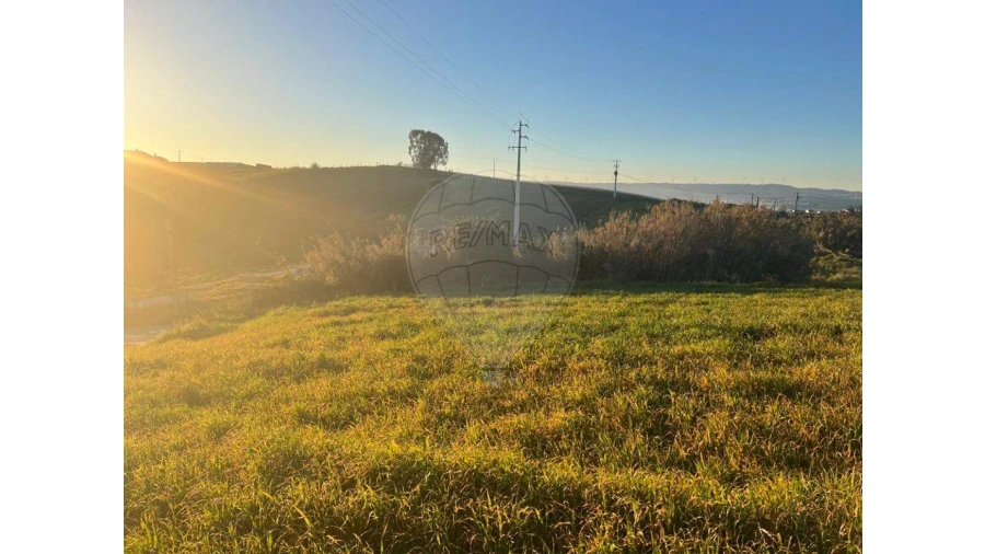 Terreno para Venda em Olhalvo Foto 4