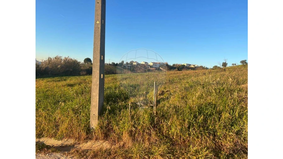 Terreno para Venda em Olhalvo Foto 1