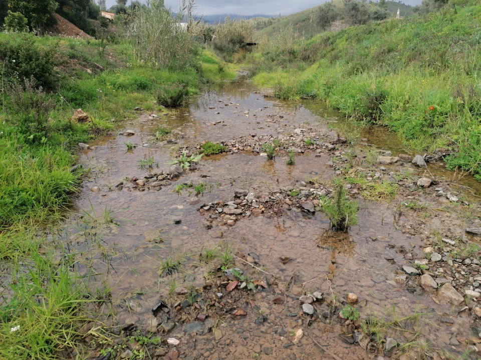 Terreno para Venda em Mexilhoeira Grande Foto 2