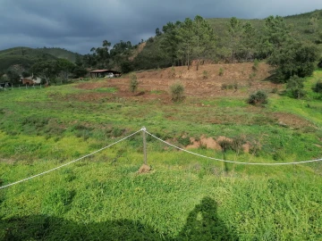 Terreno para Venda em Mexilhoeira Grande