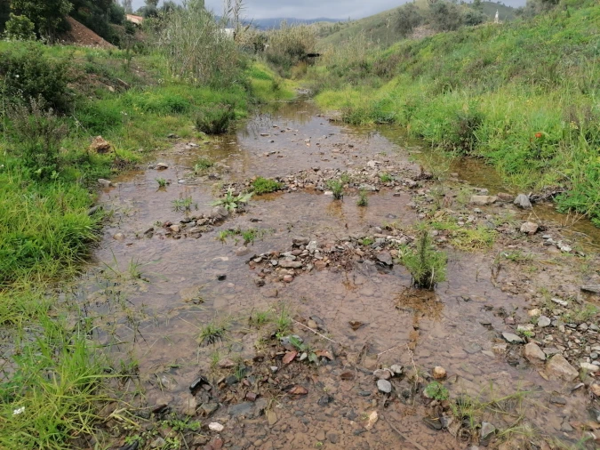 Terreno para Venda em Mexilhoeira Grande Foto 2