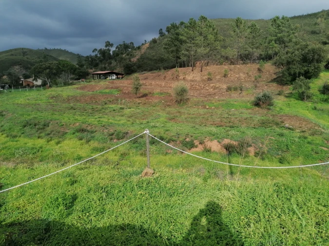 Terreno para Venda em Mexilhoeira Grande Foto 4