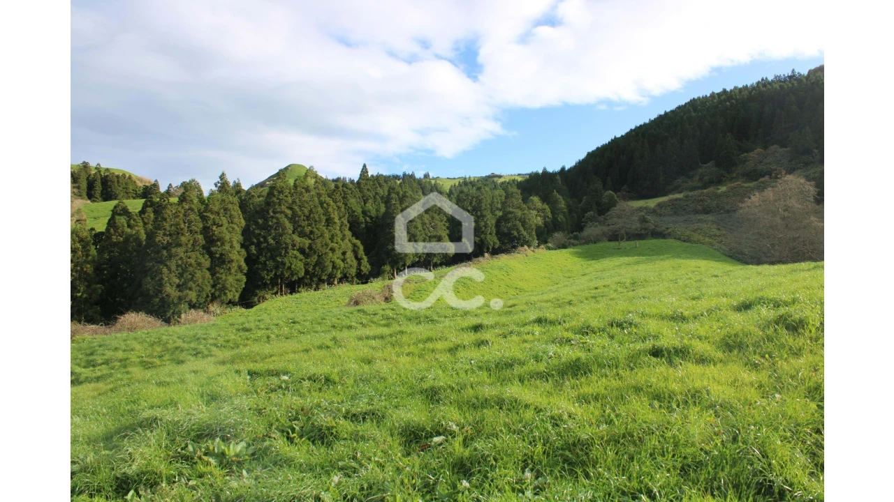 Terreno para Venda em Ginetes Foto 6