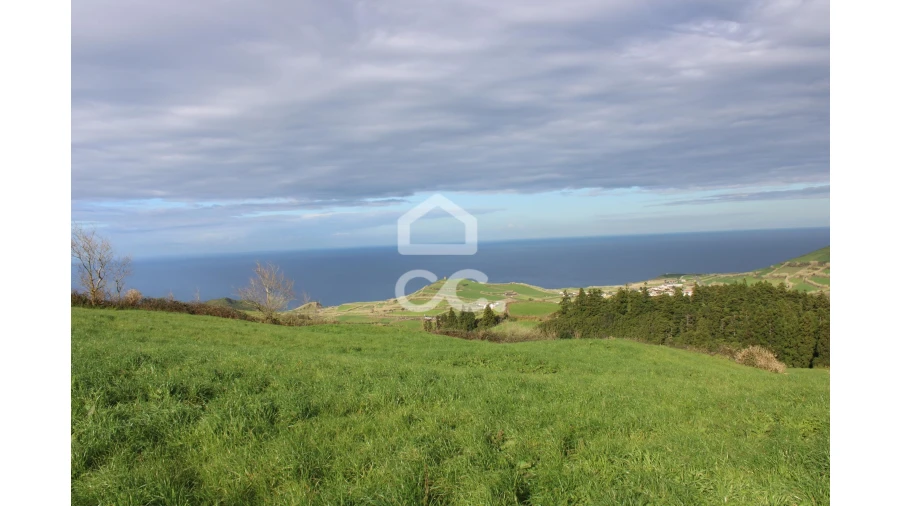 Terreno para Venda em Ginetes Foto 3
