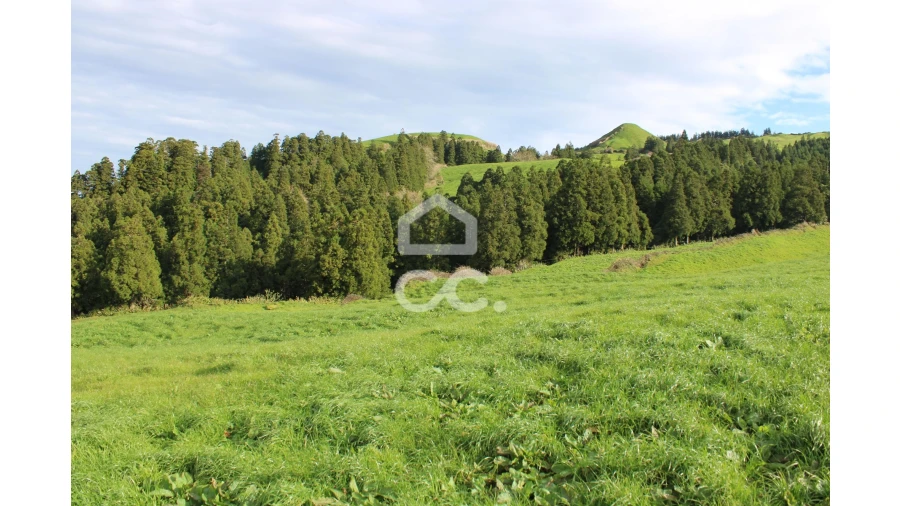 Terreno para Venda em Ginetes Foto 5