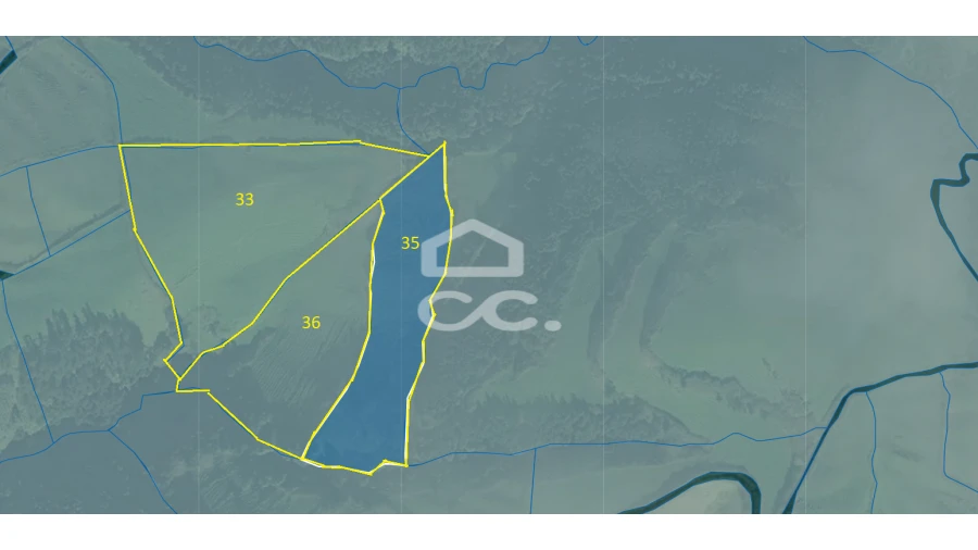 Terreno para Venda em Ginetes Foto 2