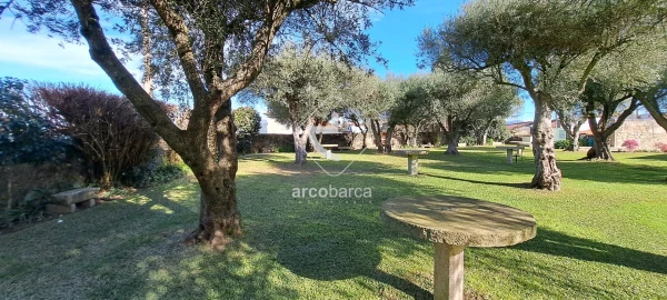 Quinta T5 para Venda em Correlhã