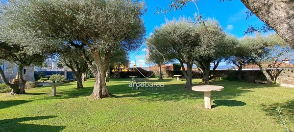Quinta T5 para Venda em Correlhã