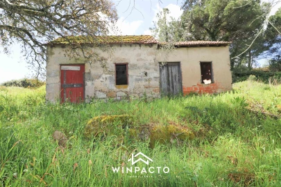 Terreno para Venda em Nelas
