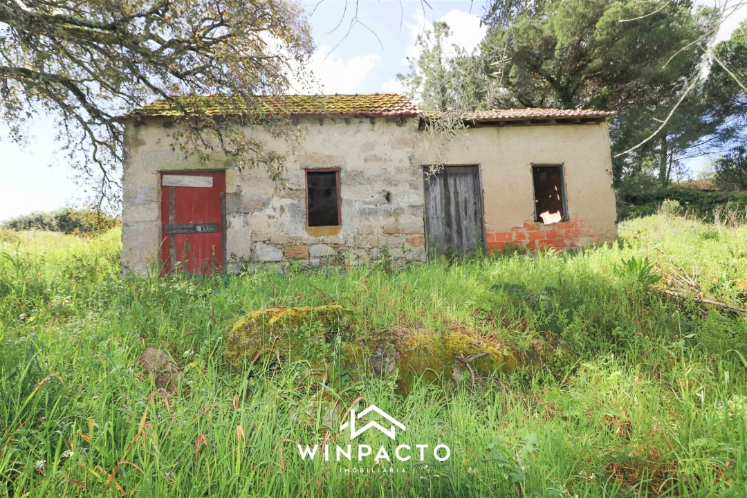 Terreno para Venda em Nelas Foto 12