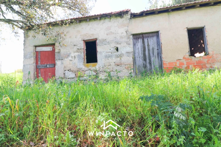 Terreno para Venda em Nelas Foto 11