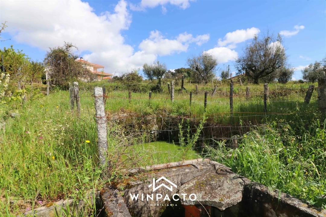 Terreno para Venda em Nelas Foto 6
