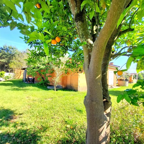 Moradia T3 para Venda em Arazede Foto 5