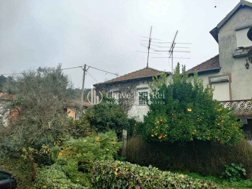 Moradia T4 para Venda em São Cipriano e Vil de Souto Foto 5