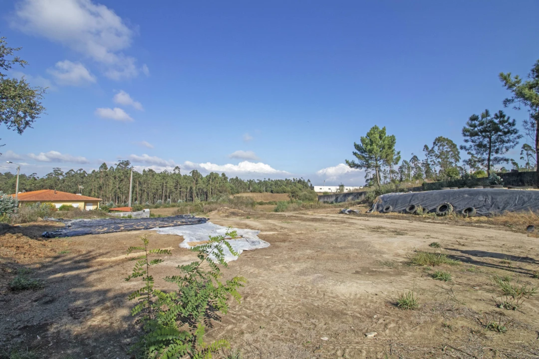 Terreno para Venda em Macieira da Maia Foto 4