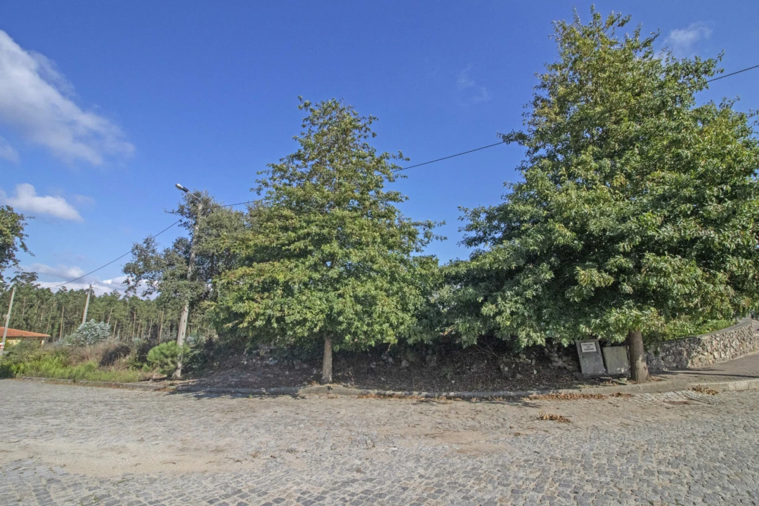 Terreno para Venda em Macieira da Maia Foto 3