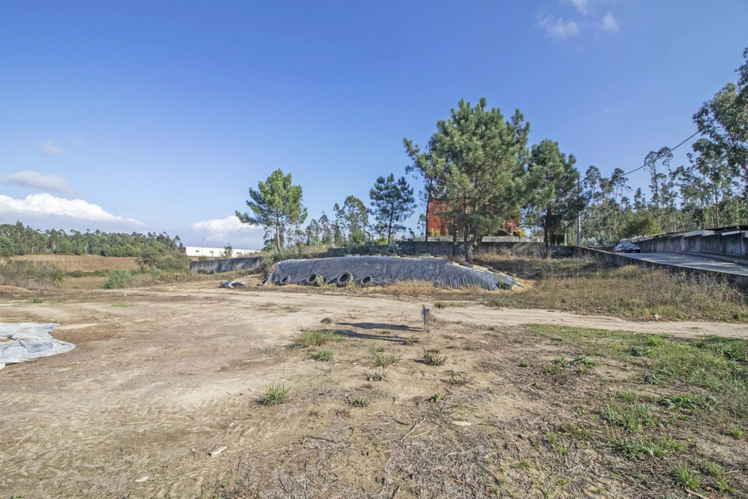 Terreno para Venda em Macieira da Maia Foto 5