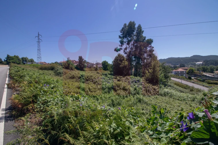 Terreno para Venda em Moreira de Conegos Foto 2