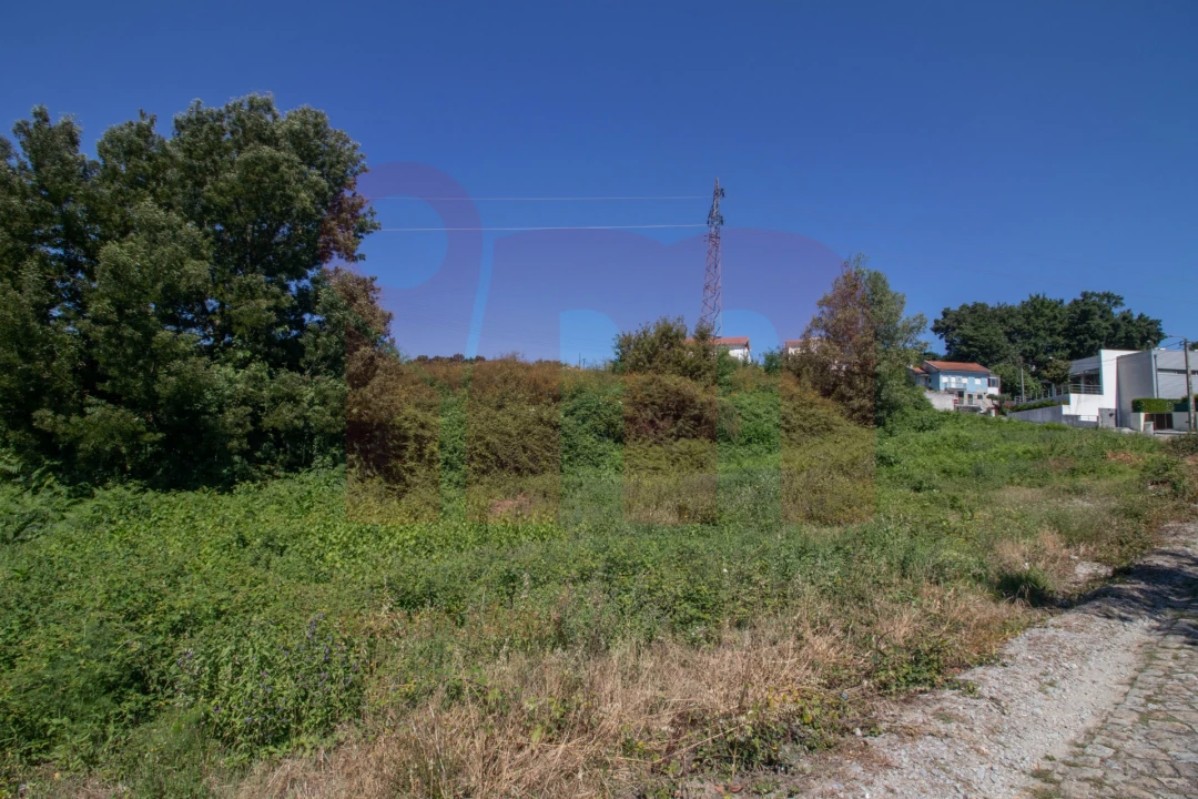 Terreno para Venda em Moreira de Conegos Foto 6