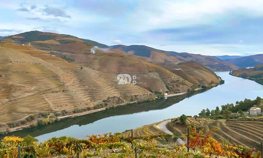 Terreno para Venda em Vila Seca e Santo Adrião Foto 3