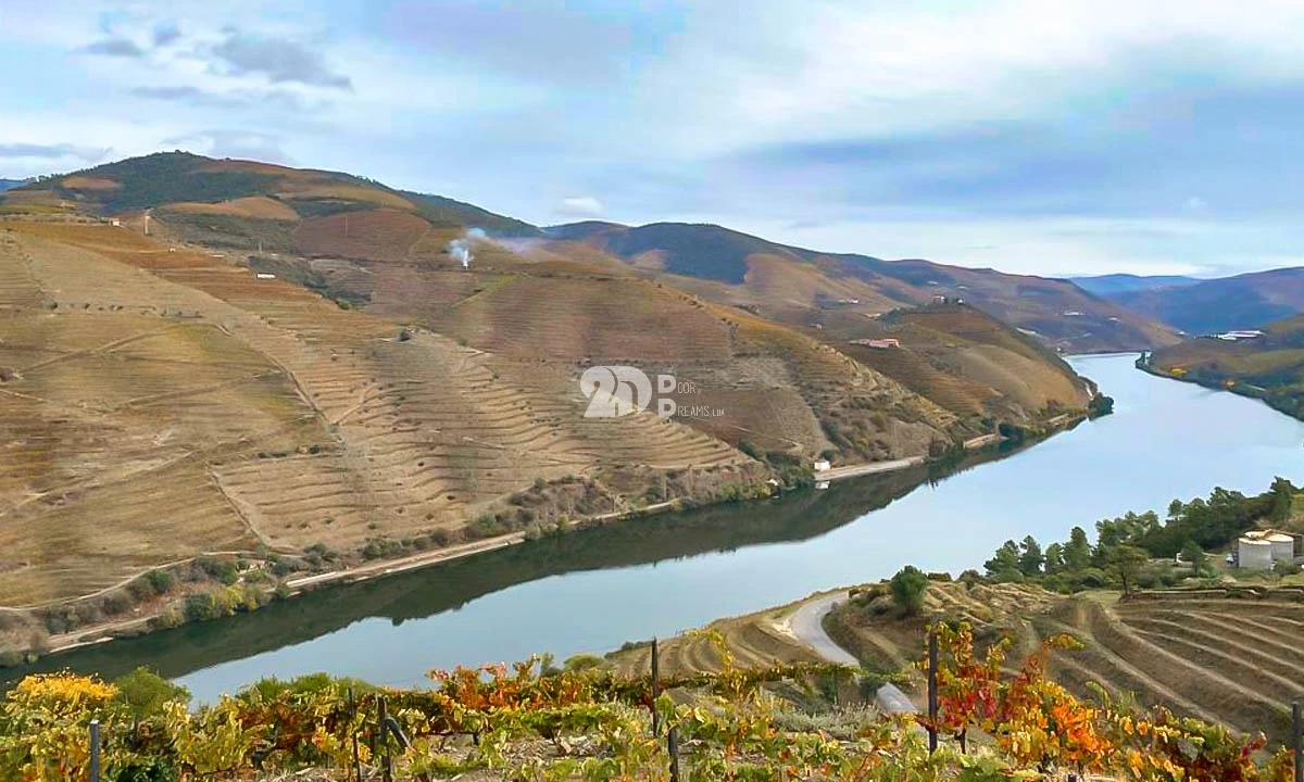 Terreno para Venda em Vila Seca e Santo Adrião Foto 3