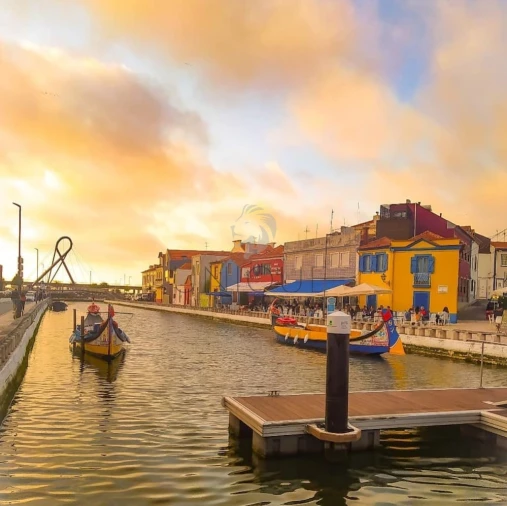 Apartamento T3 para Venda em Esgueira Foto 7