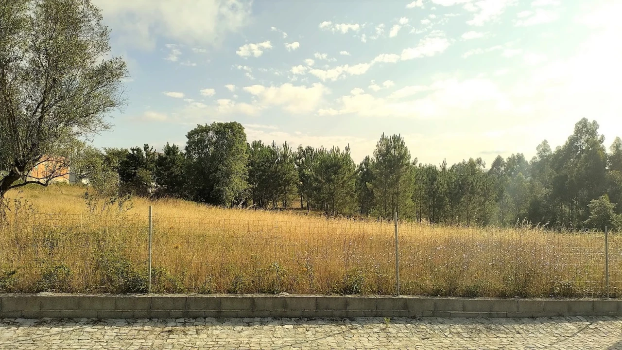 Terreno para Venda em Santa Eufémia e Boa Vista Foto 4