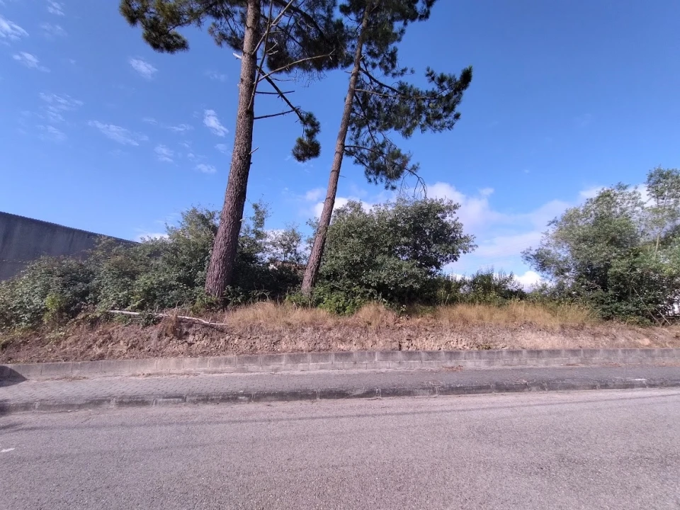 Terreno para Venda em Santa Eufémia e Boa Vista Foto 3