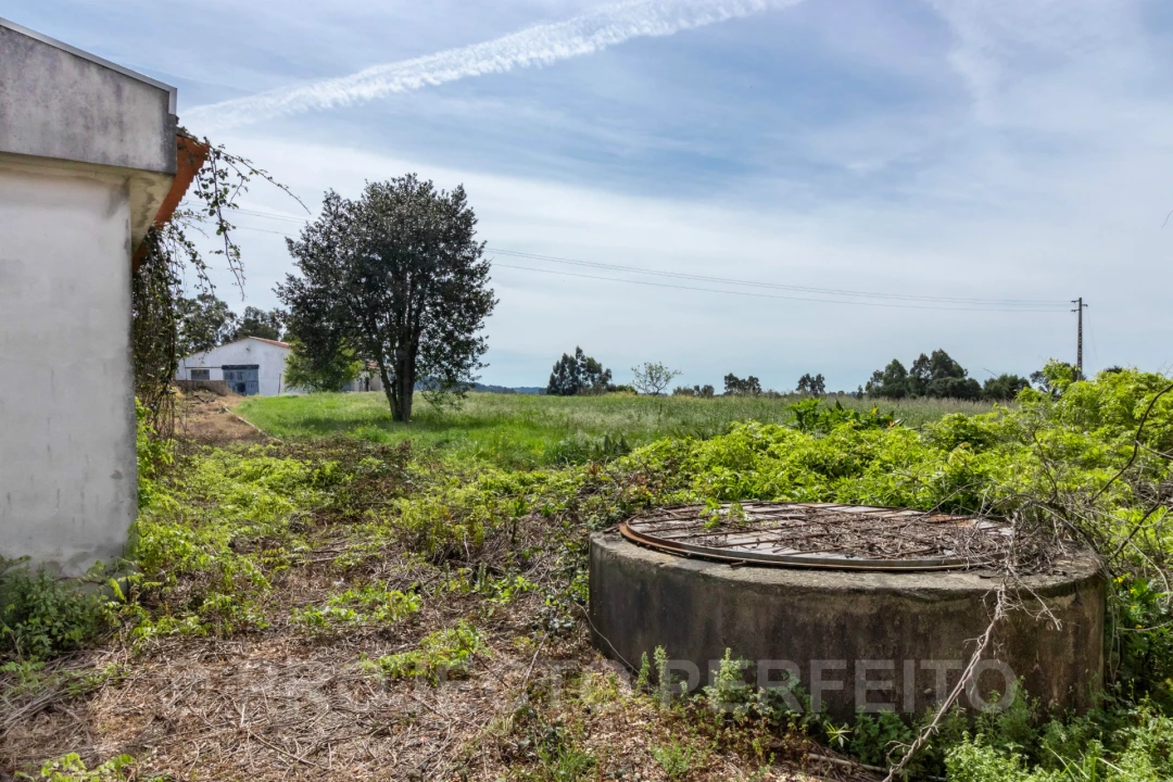 Terreno para Venda em Grijó e Sermonde Foto 4