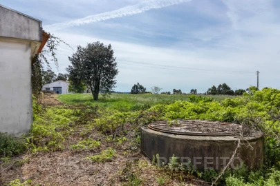 Terreno para Venda em Grijó e Sermonde