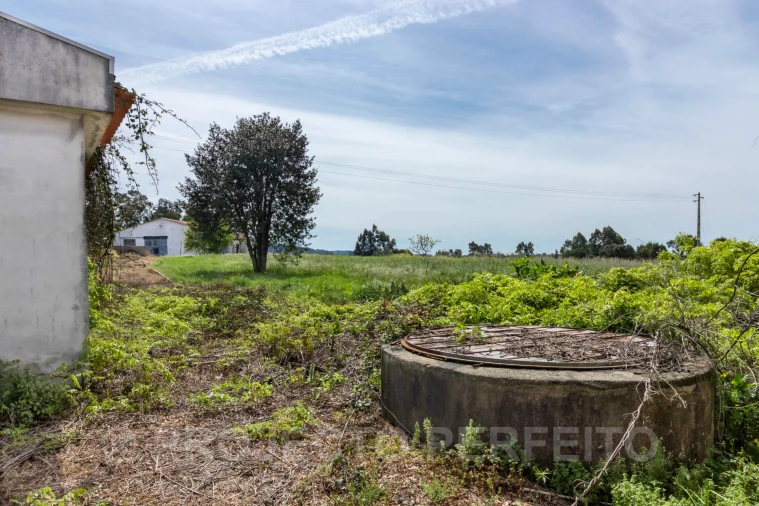 Terreno para Venda em Grijó e Sermonde Foto 4