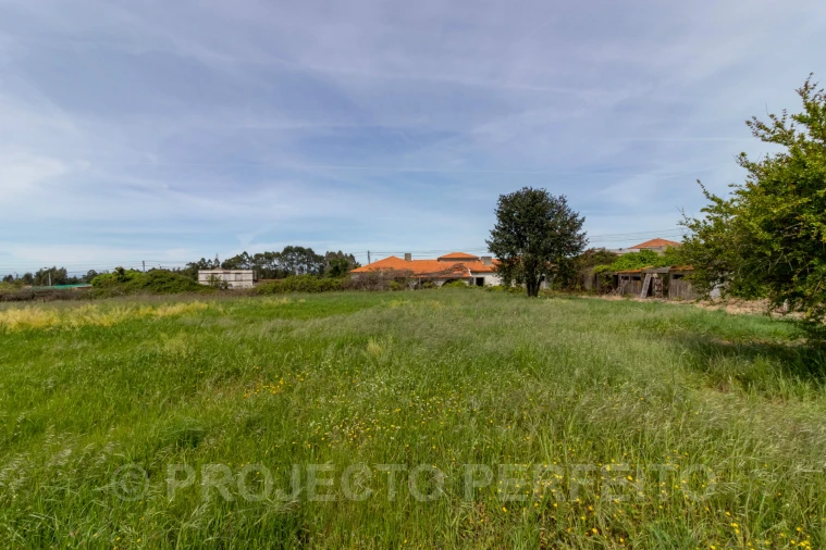 Terreno para Venda em Grijó e Sermonde Foto 5