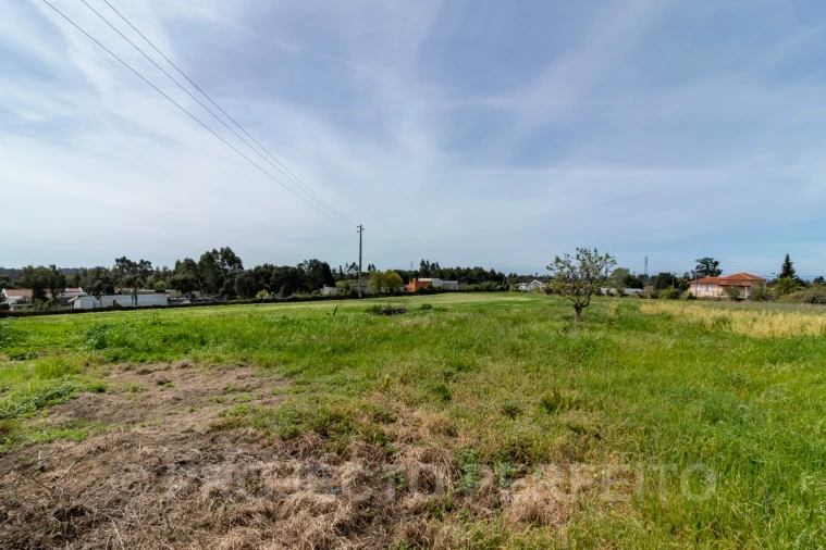 Terreno para Venda em Grijó e Sermonde Foto 6